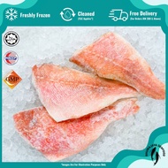 Red Fish Fillet Portion Ikan Merah Fillet 红鱼片| Rhumajaya Fresh Frozen Seafood (RMJ)