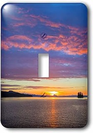 3dRose lsp_229401_1 single toggle switch