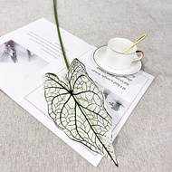 MY New Artificial Green Plant Alocasia Leaf Begonia Leaf Color Taro Leaf Wedding Road Lead Plant Wal
