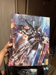 Aile Strike Gundam