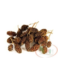 Alder Cones (Erlenzapfen Cone) dried fruit supplement fulvic humic natural black water aquarium shri