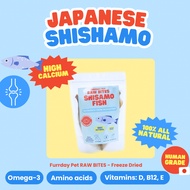 Furrdy Pet Freeze Dried Recipe Japanese Shishamo Fish Full Egg-Dog Cat Snack