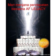 Mint relaxing lotion -  Master Stokis Package