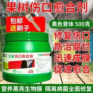 T Tree Wound Agent Fruit Tree Applicator Bonsai Cut Sealant Applicator Applicator
