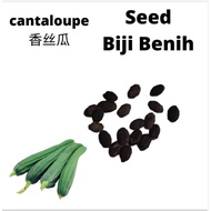 Cantaloupe Honey Organic 有机香丝瓜种子 Biji Benih Vege Sayur sayuran Vegetable Seed