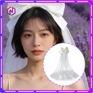 White Tulle Hair Veil Double-Layer Bow Veil Hair Clip Tulle Veil Engagement Photo Veil