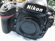nikon d800 body
