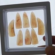 Guzheng Nails performance-grade Guzheng Nails spec Guzheng Nails performance grade Guzheng Nails Spe