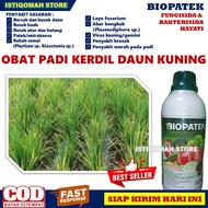 Obat Semprot Padi Mati Pucuk Daun Kuning BIOPATEK 500ML Fungisida Hayati Obat Semprot Hama Padi Daun Kuning Obat Penyakit Kresek Blas Hawar Tanaman Padi - Obat Padi Daun Kuning Kerdil -  Obat Padi Kerdil Kuning Paling Ampuh