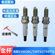 Little Sea Lion X30X30L Truck T30T32T50T52 Spark Plug Iridium Spark Plug