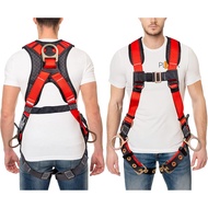 Palmer Safety Full Body Harness with 5 Point Adjustment, Dorsal D-ring, Grommet Legs, Two Side D Rin