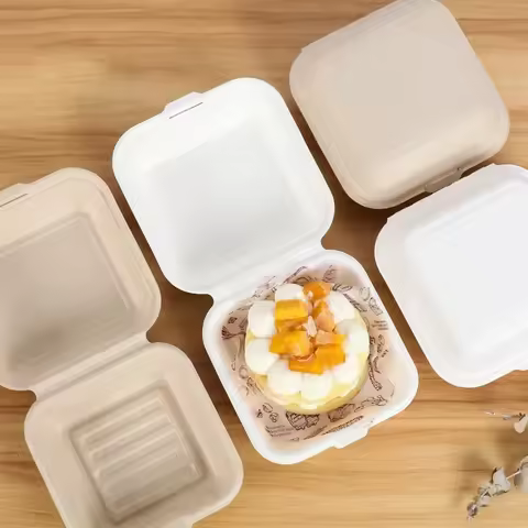 10/20pcs Disposable Lunchbox Bento Food Containers Baking Dessert Cake Bowl packaging Burger Snack B