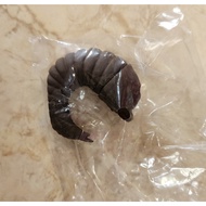 Gashapon Gachapon Godzilla Machibouke Still Waiting For You Figure - Price per 1 Pcs