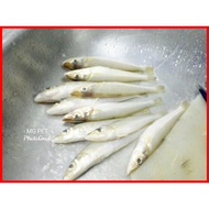 Perambut 8lb Pancing Ikan Bolos, Ikan Puyu, Ikan Betok SIAP TALI (JAPAN HOOK SET, 6 SET)