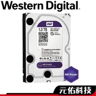 WD Monitoring Disk Purple Label 2TB 4TB 6TB 8TB 10TB Hard 23PURZ