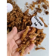 Chilean sphagnum moss 5A star 7A star for plant & orchid premium moss 毛毛虫苔藓