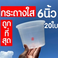 *กระถางใส* กระถางพลาสติกใส (6นิ้ว 20ใบ) กระถางต้นไม้ใส กระถางต้นไม้ กระถางพลาสติก กระถางสีใส กระถางส