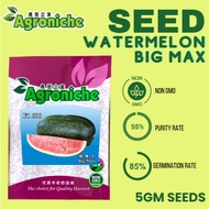 5 GM Biji Benih Tembikai Besar Hitam / BUKAN GMO / F1 500 Agroniche / Berkualiti Tinggi