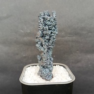 Silver Pillar Leklai 银色柱子力泥 Leklai Goethite 100% Natural Leklai