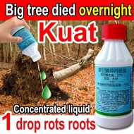 1 drop kills a century-old tree  tree killer racun mati pokok racun pokok kayu besar/racun pokok bul