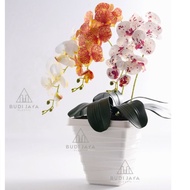 Budi Tall Square Pot Tall Cananga PotJAYA 151
