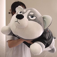 Thú nhồi bông chó Husky mặt ngáo - Size 80cm đến 1m5 - Gấu bông chó husky siêu to khổng lồ - Gối ôm