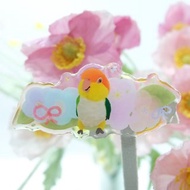 凱克鸚鵡和水彩花花髮夾 凱克鸚鵡髮夾 萬用夾