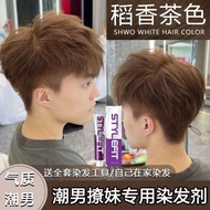 Hair Dye (Hair Colour) Hair Colour) Hair Color Dye Cream Men's Only 2025 Popular Color Trendy Color 