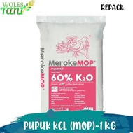 Mop 1 Kg Pupuk Kcl
