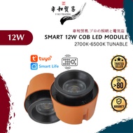 [VHO] SMART GU10 BULB/MENTOL 12W 2700K-6500K TUNABLE WHITE LED COB MODULE