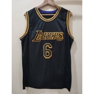 Embroidery Los Angeles Lakers #6 Lebron James Jersey Basketball Jersey