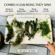 Combo of 4 types of seaweed, green arhat seaweed, dogtail seaweed, foxtail seaweed, bamboo leaf seaw