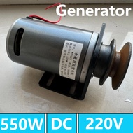 550W Permanent Magnet Generator 220V DC Output 0.55KW DC Dynamo 1 Phase Magnetic Alternator For Home