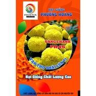 Dwarf Marigold Seeds PH45 Lemon Yellow - Phoenix