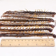 Centipede Chinese Herbal Medicine Centipede Dried Bamboo Stick Sichuan Foot Extra Large Centipede Meat Centipede Powder