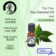 Tea Tree Pure Essential Oil 纯真茶树精油 10ml  XUN  茶树 精油 熏香