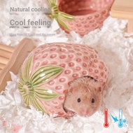 Hamster Igloo Pet Igloo Hamster Ceramic Igloo Strawberry Ceramic Igloo Hamster Igloo Golden Bear Igl