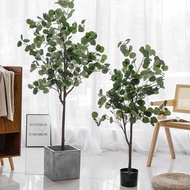 Eucalyptus Tree Artificial Plant