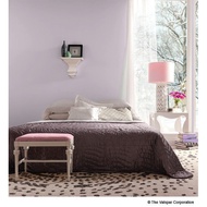 MAXILITE BRAND EMULSION PAINT FOR INTERIOR AND EXTERIOR WALL - 7LITRES - COLOUR : CANDY #14536 *READ