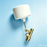 All Copper Float Valve Plastic Float Valve Water Level Float Valve