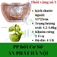 Gold Bar Mold No. 3 for grapefruit 1,2-1,8kg, thick, printed with the word FORTUNE