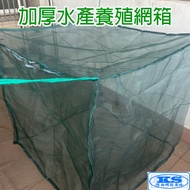 Taiwan Taiwan Ready Stock Fish Breeding Box Aquaculture Fishing Net Small Fish Breeding Incubation S