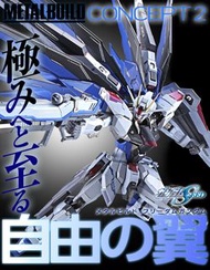 METAL BUILD FREEDOM GUNDAM CONCEPT 2