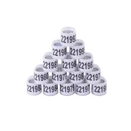 PHA Pigeon Foot Ring 2024 Pigeon Oblong 8mm Ring for pigeon dove parrot singsing ng kalapati