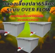 อ่างเลี้ยงปลา 65 ลิตร overflow ท่อสีฟ้า ขนาด 64x44x31ซ. (กล่องสีขาวครีม) ระบบวาวล์ปิดเปิดน้ำได้ อ่าง