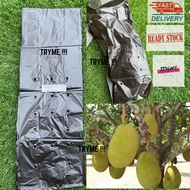 Plastik 50keping Pembalut Buah NANGKA/ CEMPEDAK Sarung nangka sarung cempedak 0.012x11x22x2