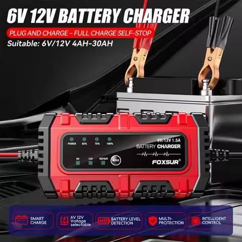 FOXSUR 6V 12V Intelligent Battery Charger Motorcycle Scooter Three-wheeled Battery Charging LiFePO4 