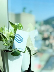 星空灰 - SpiderCard 數位名片NFC卡