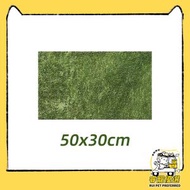 全城熱賣 - 爬蟲箱造景裝墊材-莫絲底墊-陸龜蛇角蛙蜥蜴守宮飼養盒墊材-S30*50cm