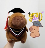 🎓現貨 水豚 畢業公仔💢 畢業禮物  幼稚園畢業 大學畢業 capybara 卡皮巴拉